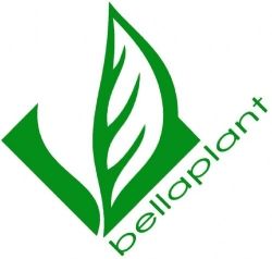 Logo Bellaplant AG